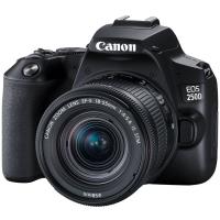 Зеркальный фотоаппарат Canon EOS 250D EF-S 18-55 IS STM Canon EOS 250D Kit