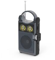 Радиоприемник RITMIX RPR-333 CARBON